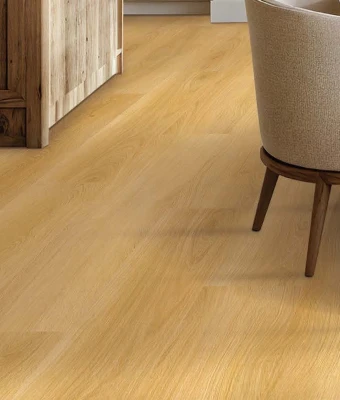 Lions Reservation Photo