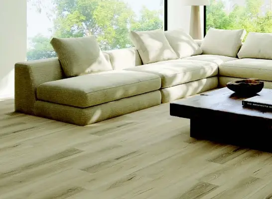 Haven Heights | Lions Floor