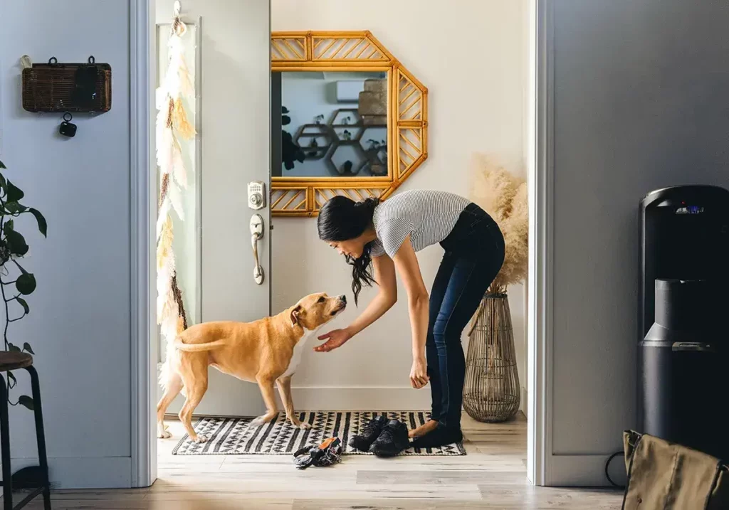 Entry rug | Lions Floor